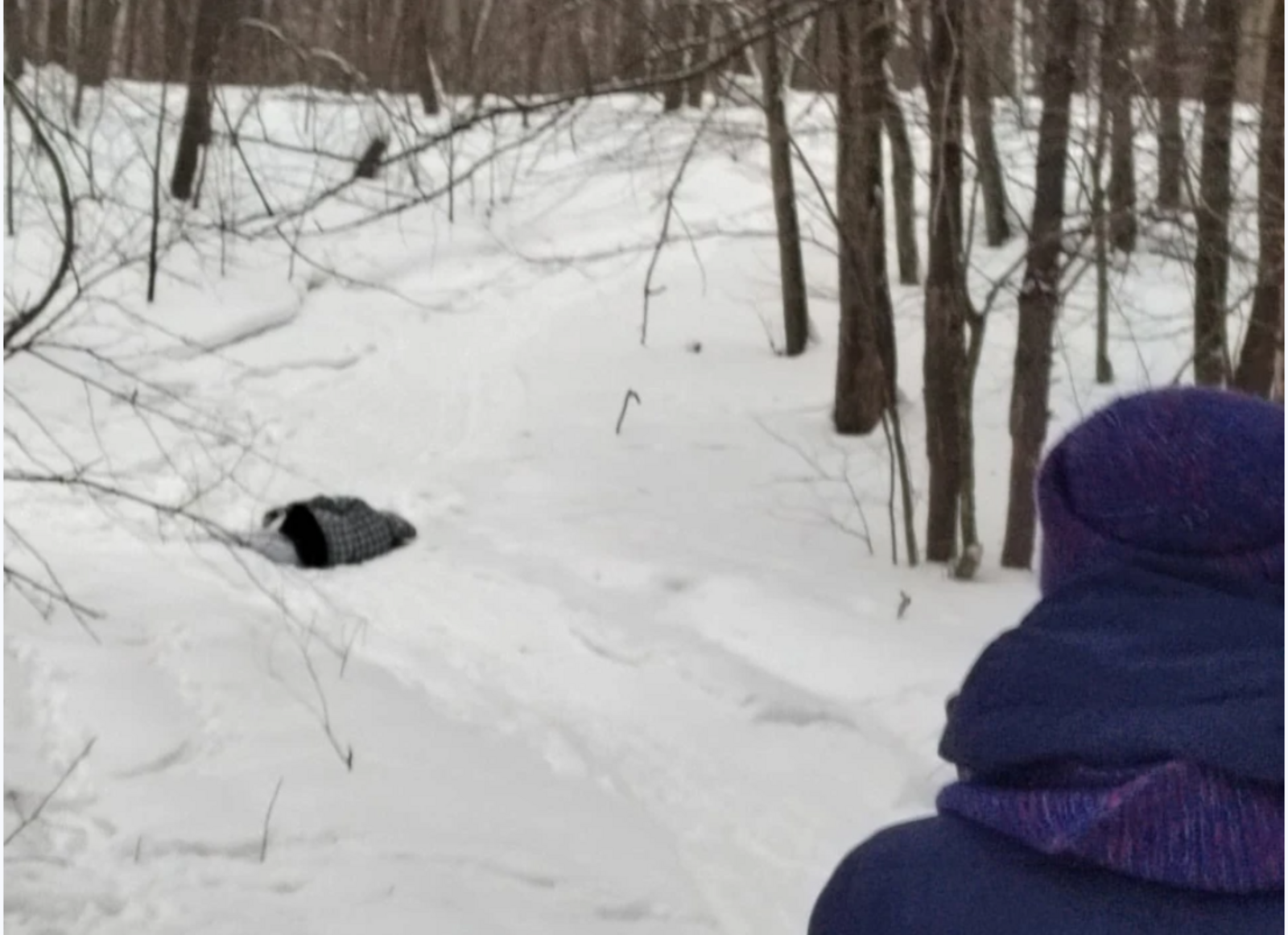 Ушедшую в лес жительницу Башкирии нашли в снегу