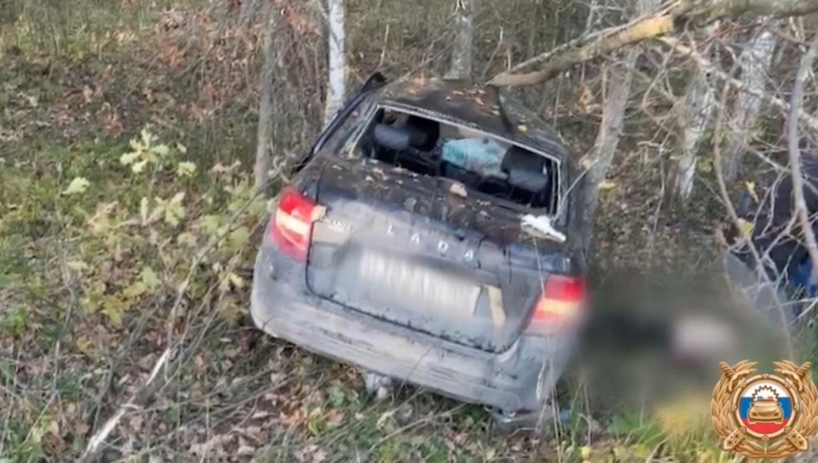 В Башкирии  лось погубил мужчину