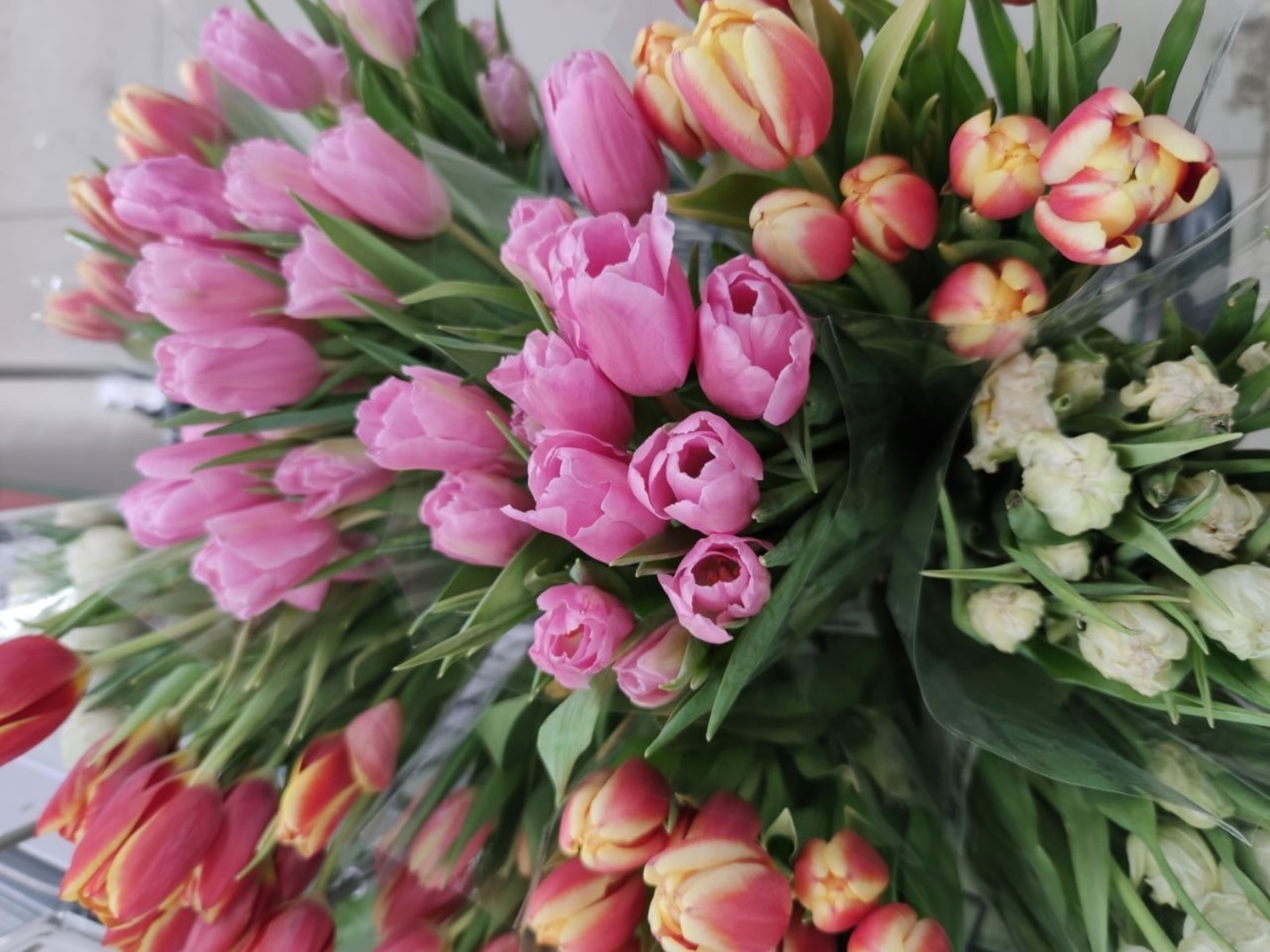 Погода в Башкирии: будет ли весна ранней