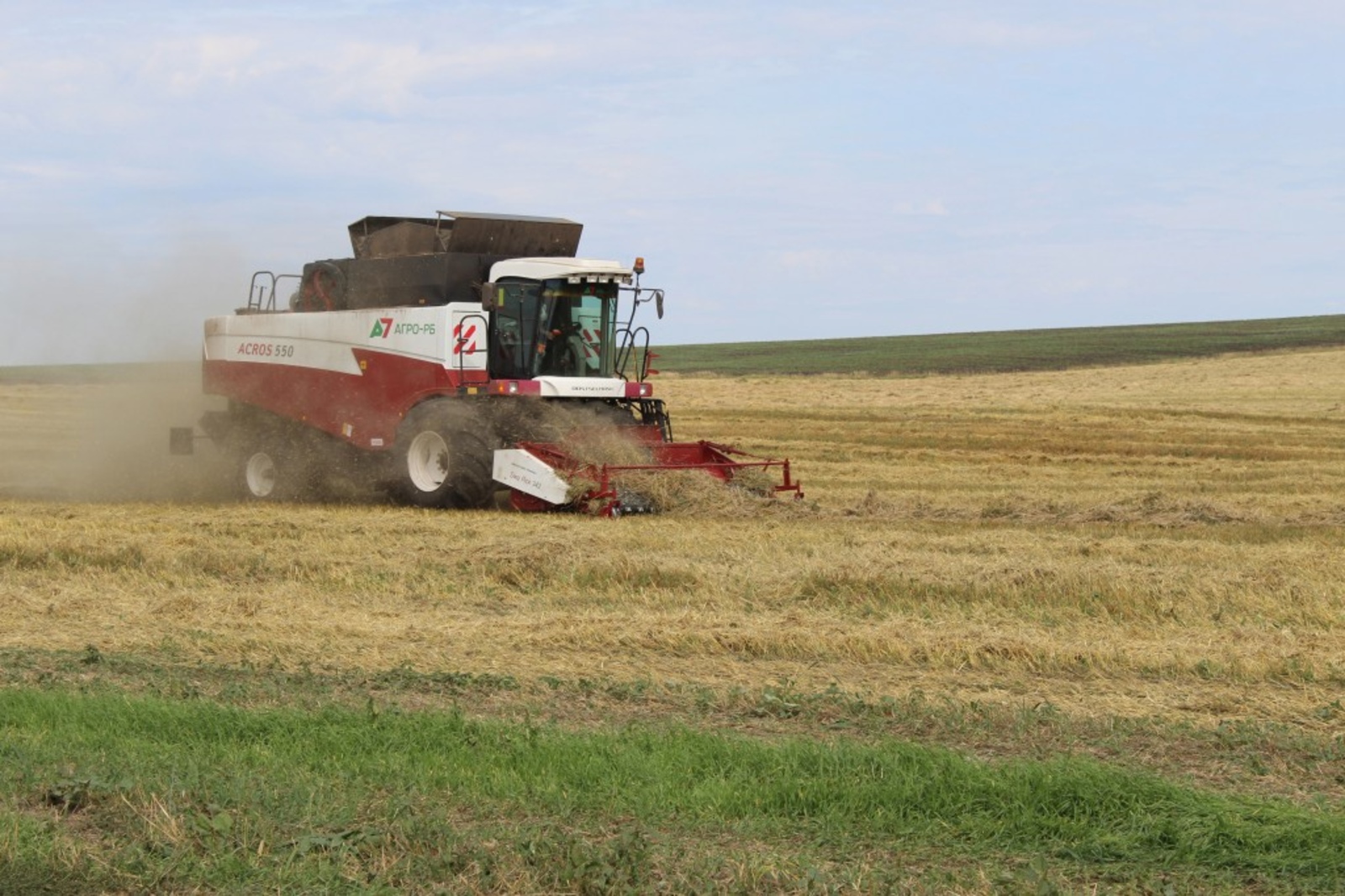 Башкирские производители зерна получат 1,15 млрд рублей федеральных субсидий