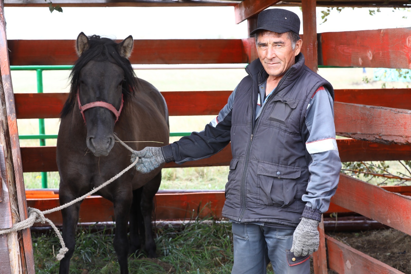 Дикая и дойная: Ракушка борется за титул лучшей башкирской лошади