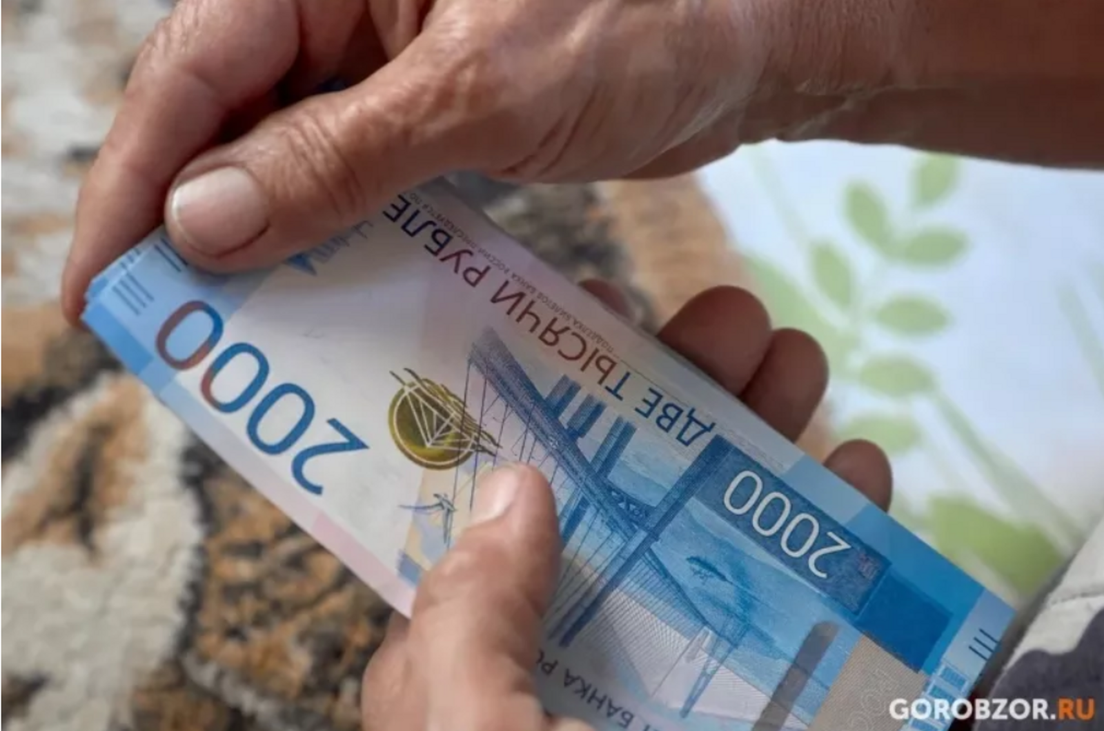 "Прислали фото": бабушка из Башкирии попалась по-крупному