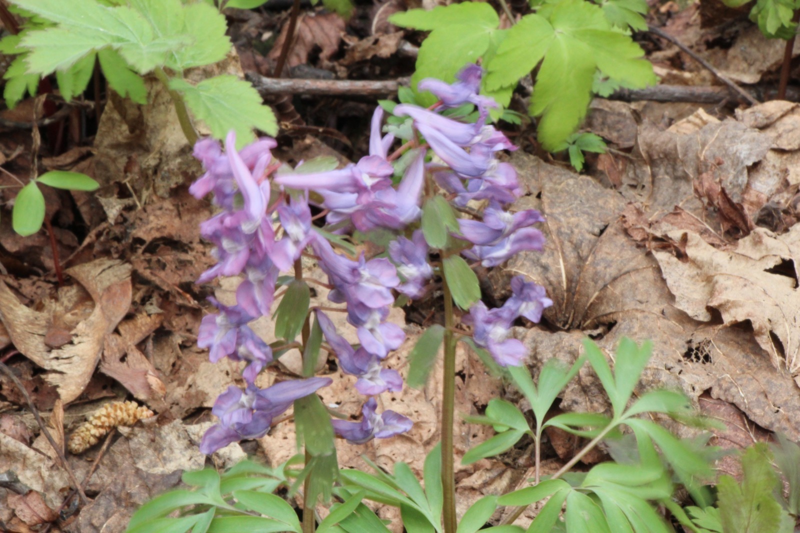 Погода очень удивит жителей Башкирии