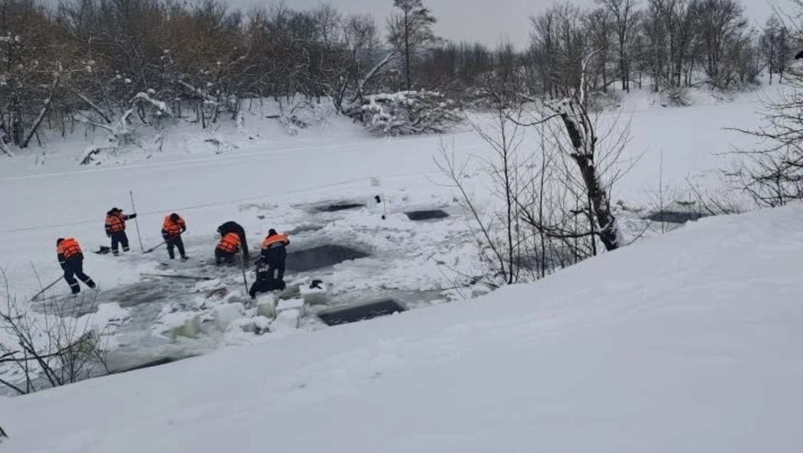 В Башкирии продолжают извлекать утонувших овец