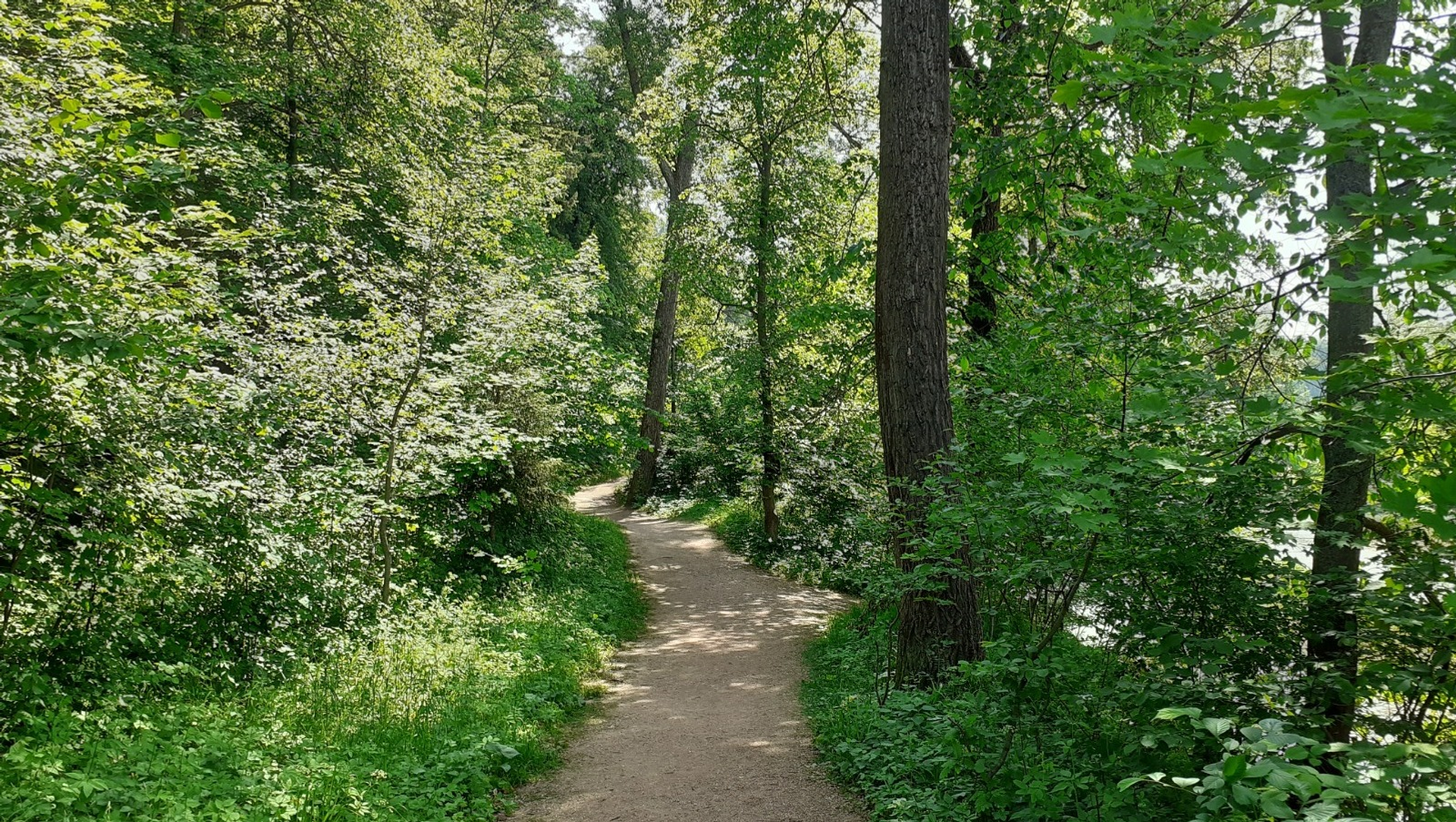 В Башкирии серьезной опасности подверглись тысячи человек