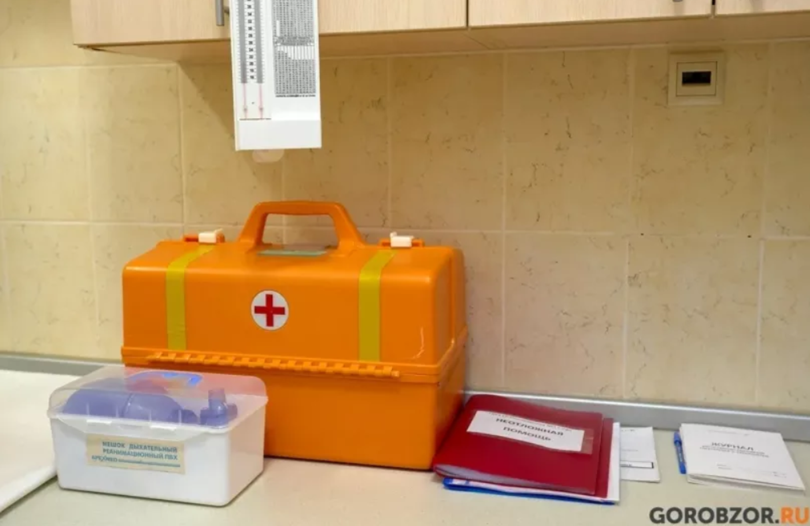 "Доставлен в больницу": в Башкирии на мужчину напал медвежонок