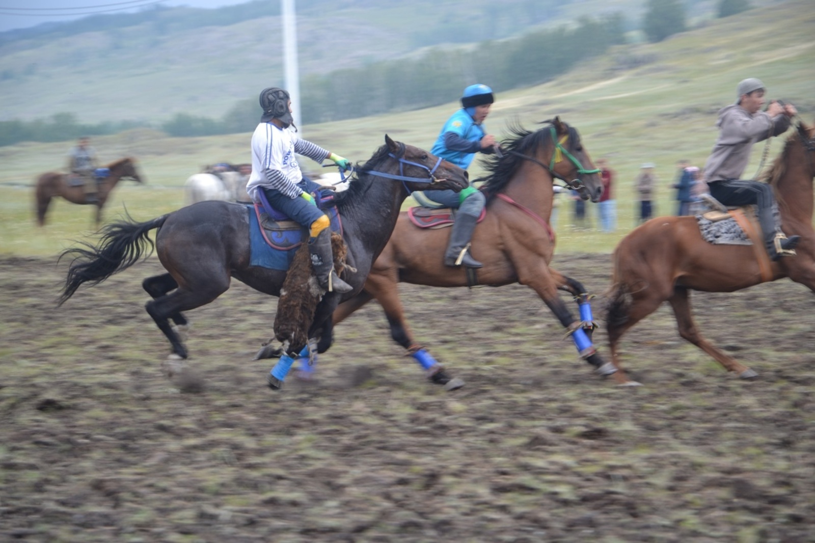 В Баймакском районе фестиваль башкирской лошади начался с древней игры-обычая