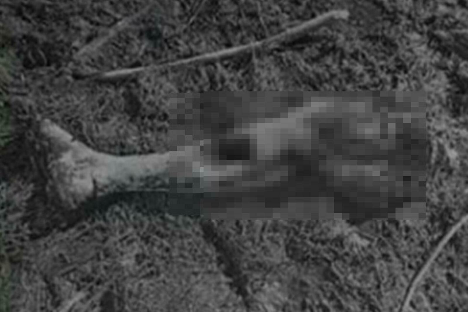В Кугарчинском районе на берегу реки обнаружена человеческая нога
