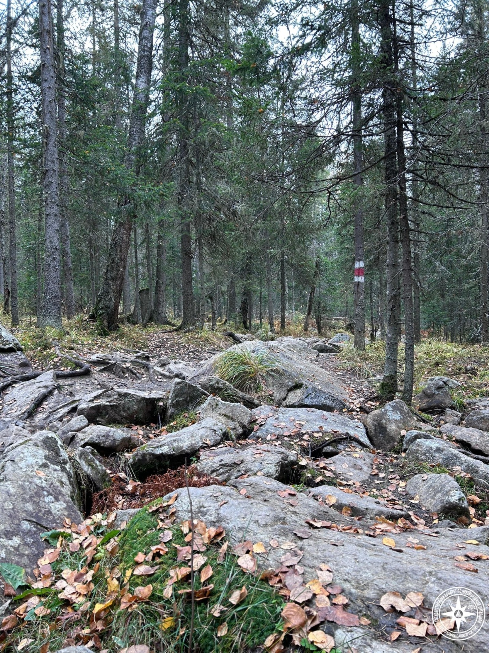 В Башкирии подросток едва не утонул в болоте