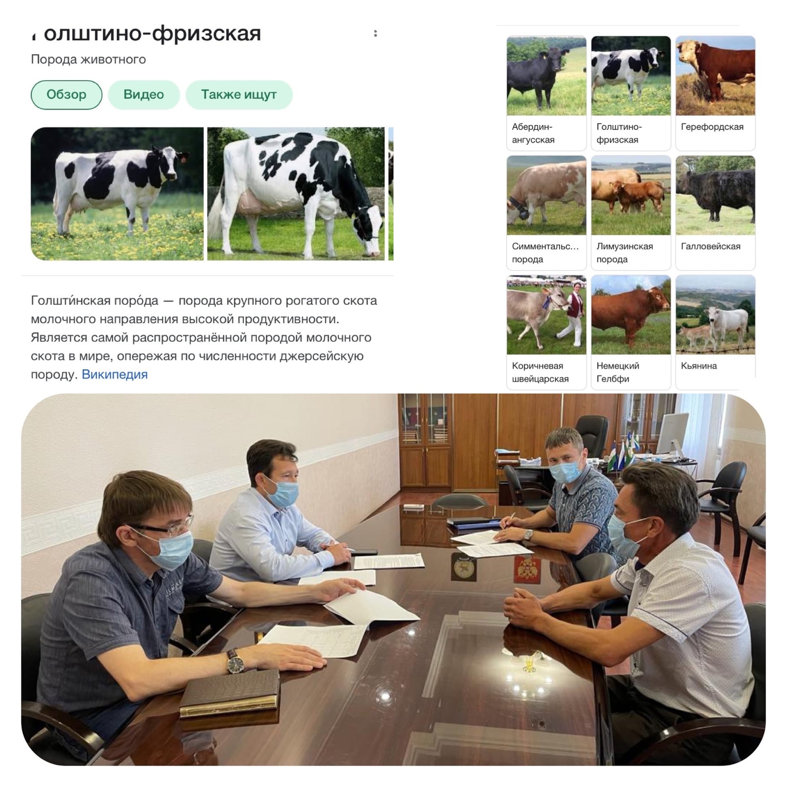 Развитие семейной молочной фермы в Мелеузовском районе рассмотрели на очередном "Предпринимательском часе"