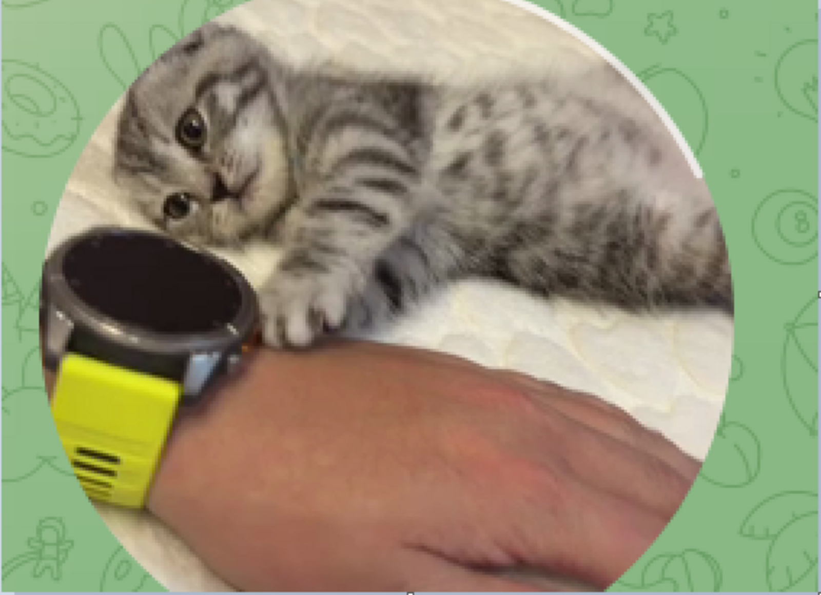 Элвин Грей показал поклонникам своего питомца