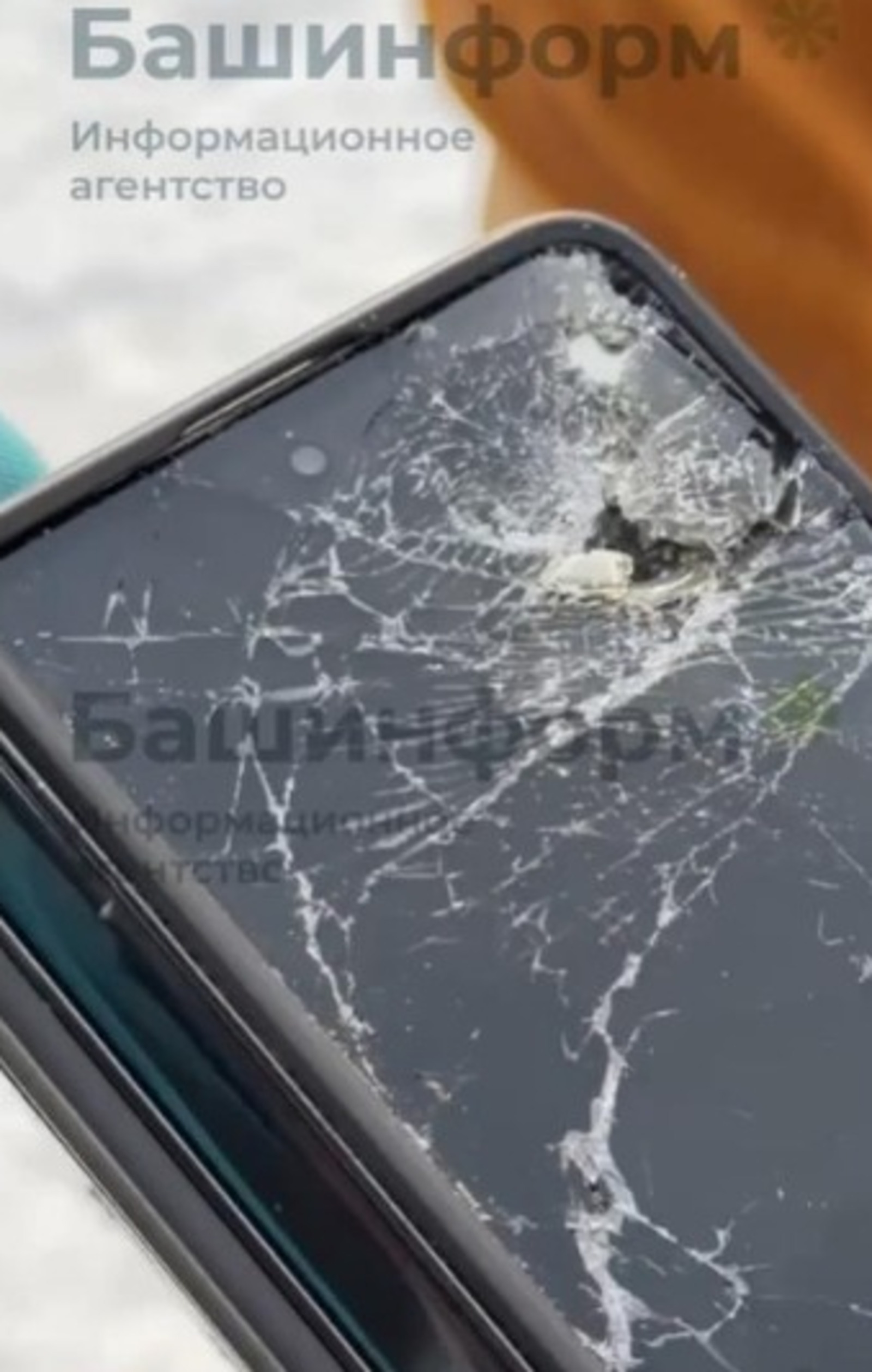 В Башкирии сноубордиста от медведя спас телефон