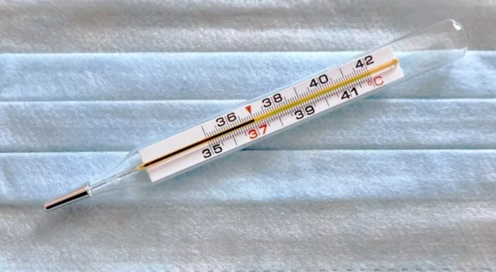 В Башкирии зафиксировали случаи заболевания опасным вирусом