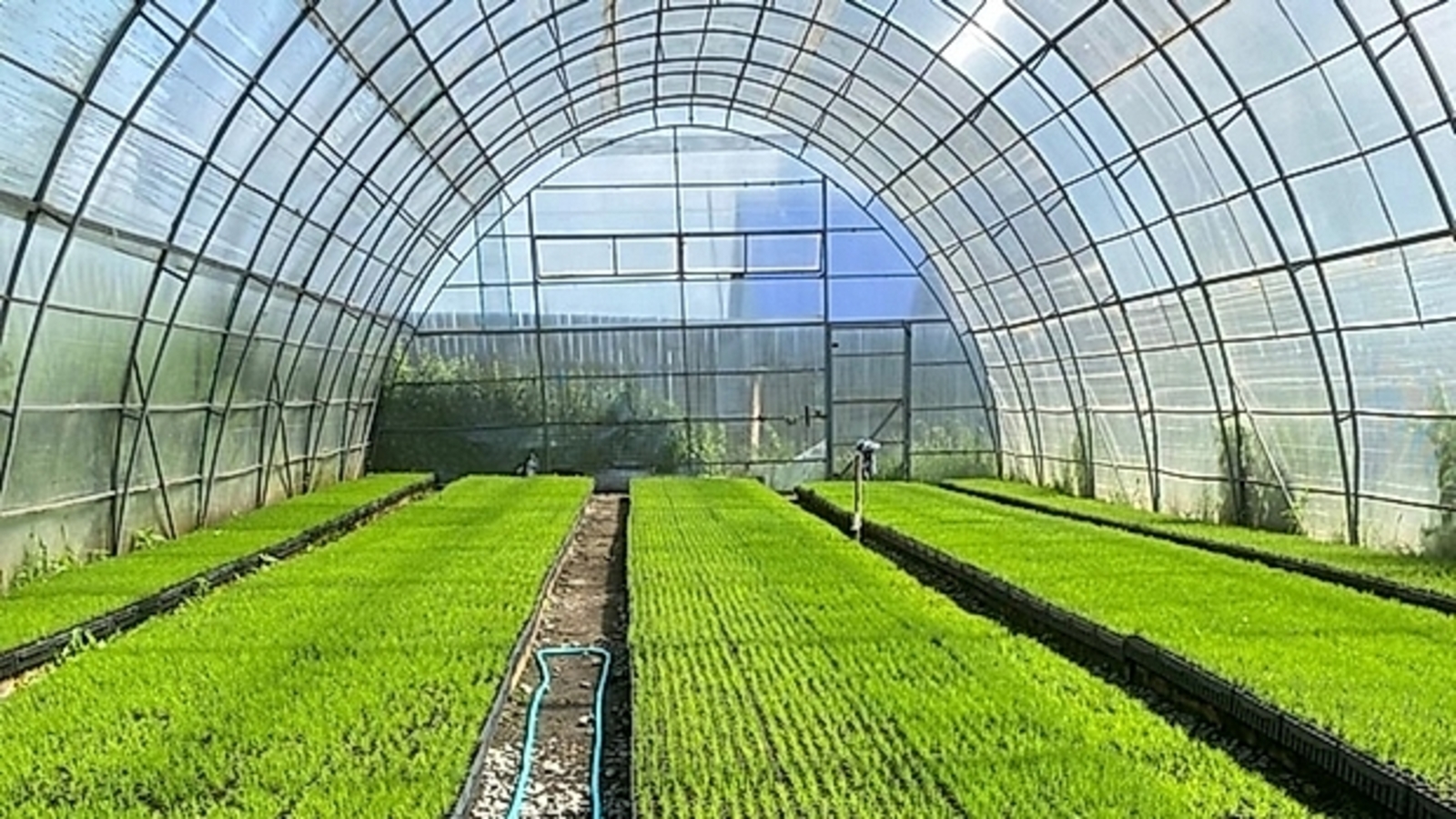 Минлесхоз Башкирии расширяет сеть тепличных комплексов