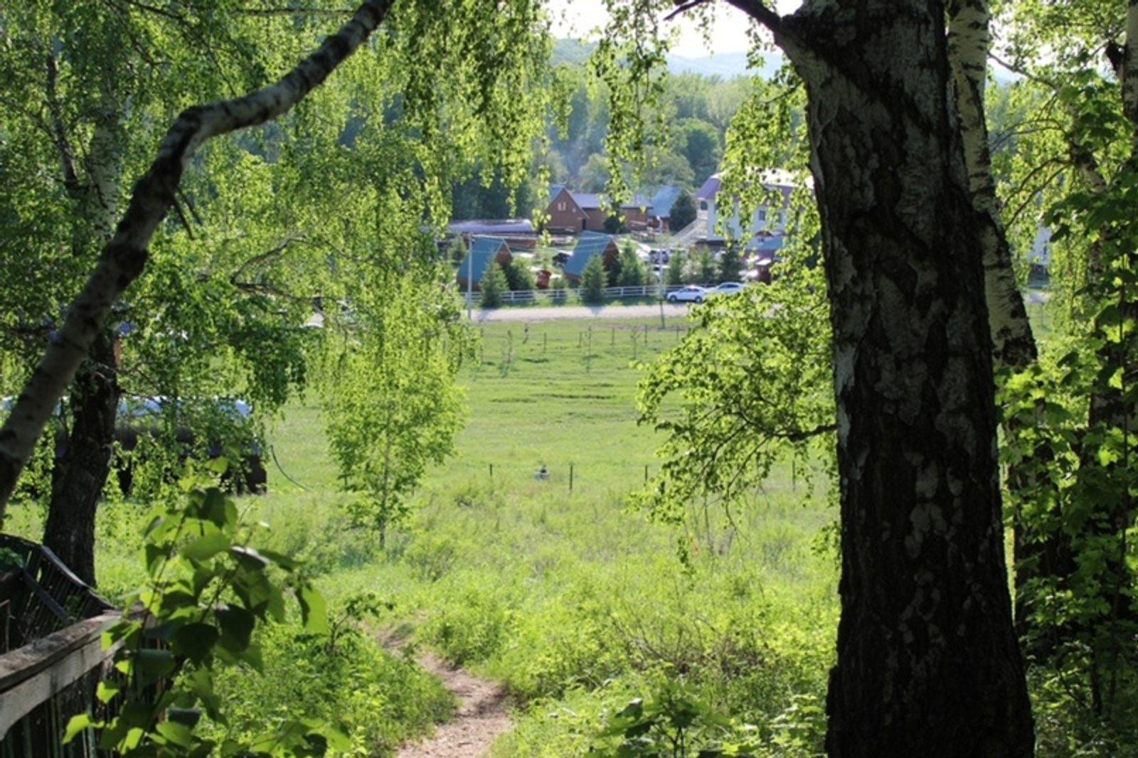 Минлесхоз Башкирии увеличит число систем видеомониторинга «Лесохранитель»
