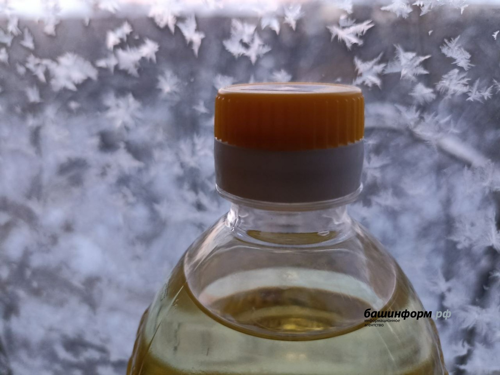 Подсолнечное масло из Башкирии пользуется большим спросом в Китае