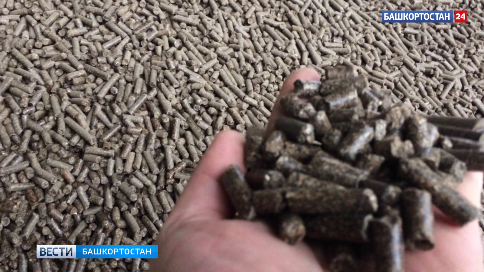 Башкирия экспортировала в Марокко крупную партию ценной кормовой добавки для жив