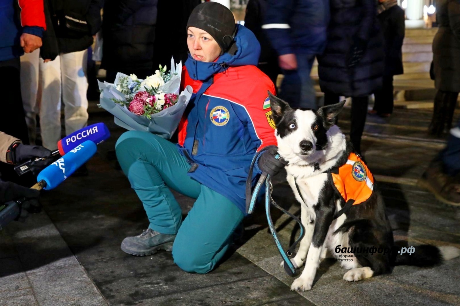 «Мы радовались каждому найденному живым»: хозяйка пса-спасателя из Башкирии — о работе в Турции