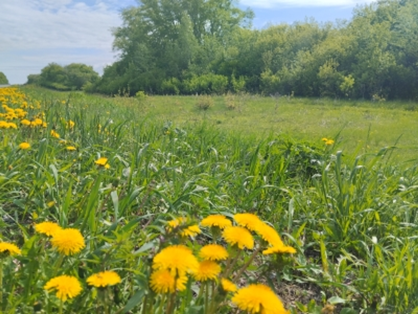 Стало известно, когда в Башкирии станет по-летнему тепло