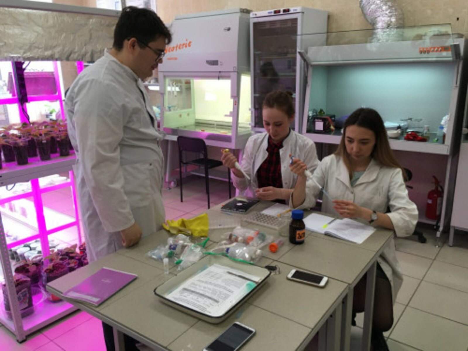 В лаборатории молекулярной биоинженерии межвузовского кампуса в Уфе создают уникальные лекарственные культуры