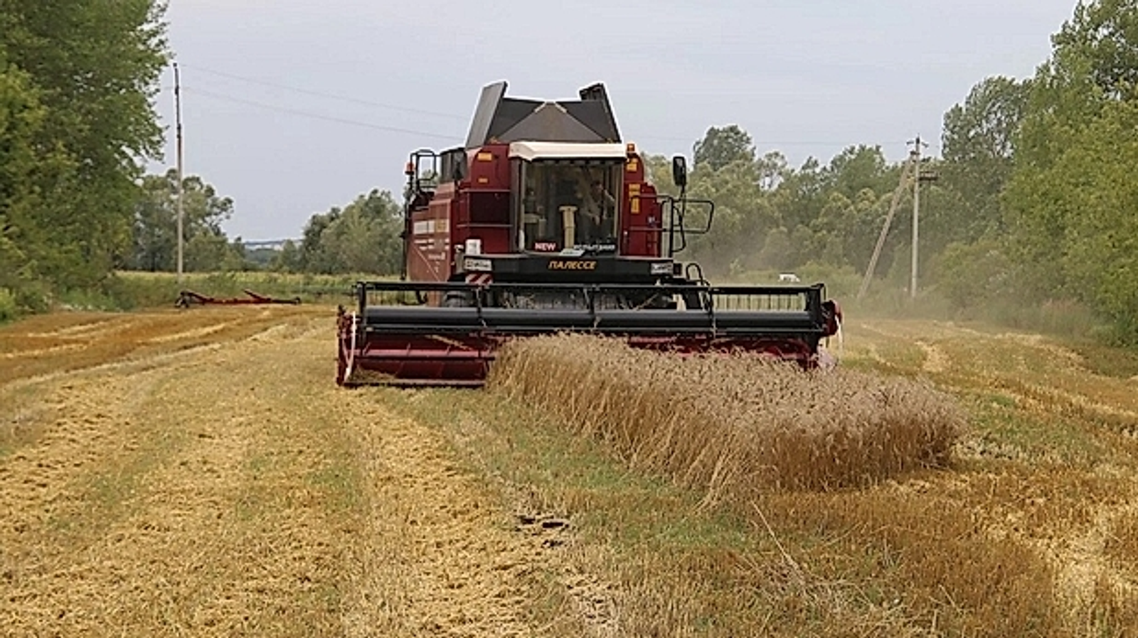 В Башкирии выросло производство валовой продукции в малом агробизнесе