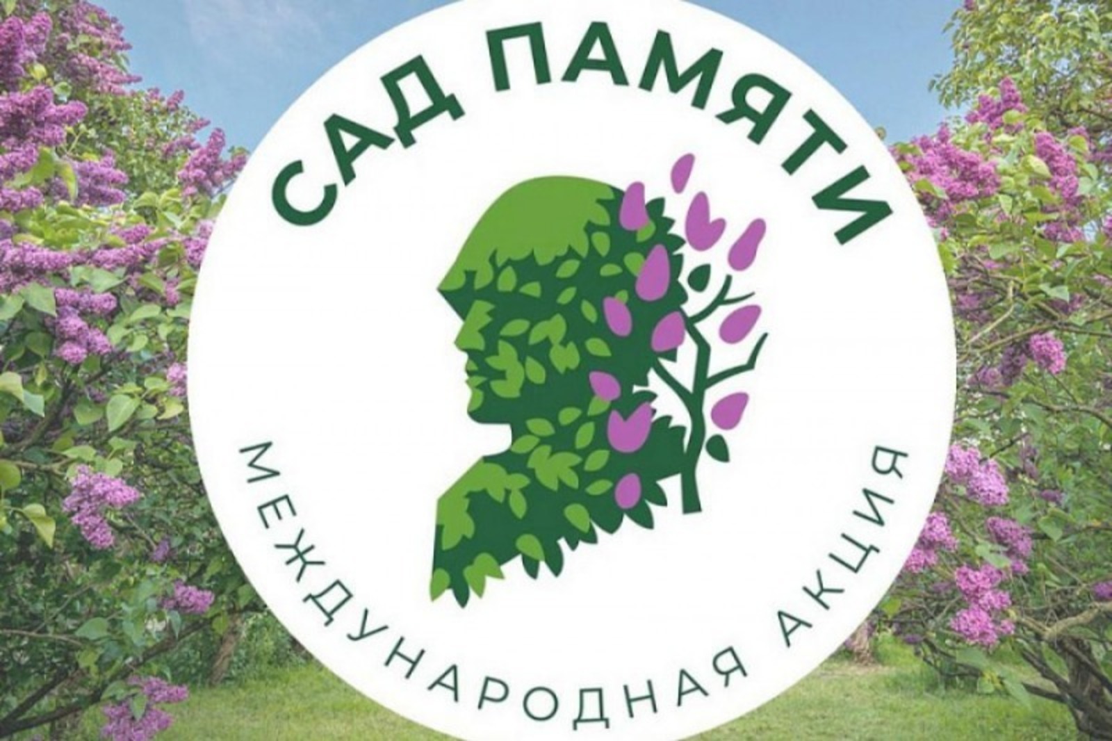 Жители Башкирии высадили 580 тысяч  деревьев  в рамках акции «Сад памяти»