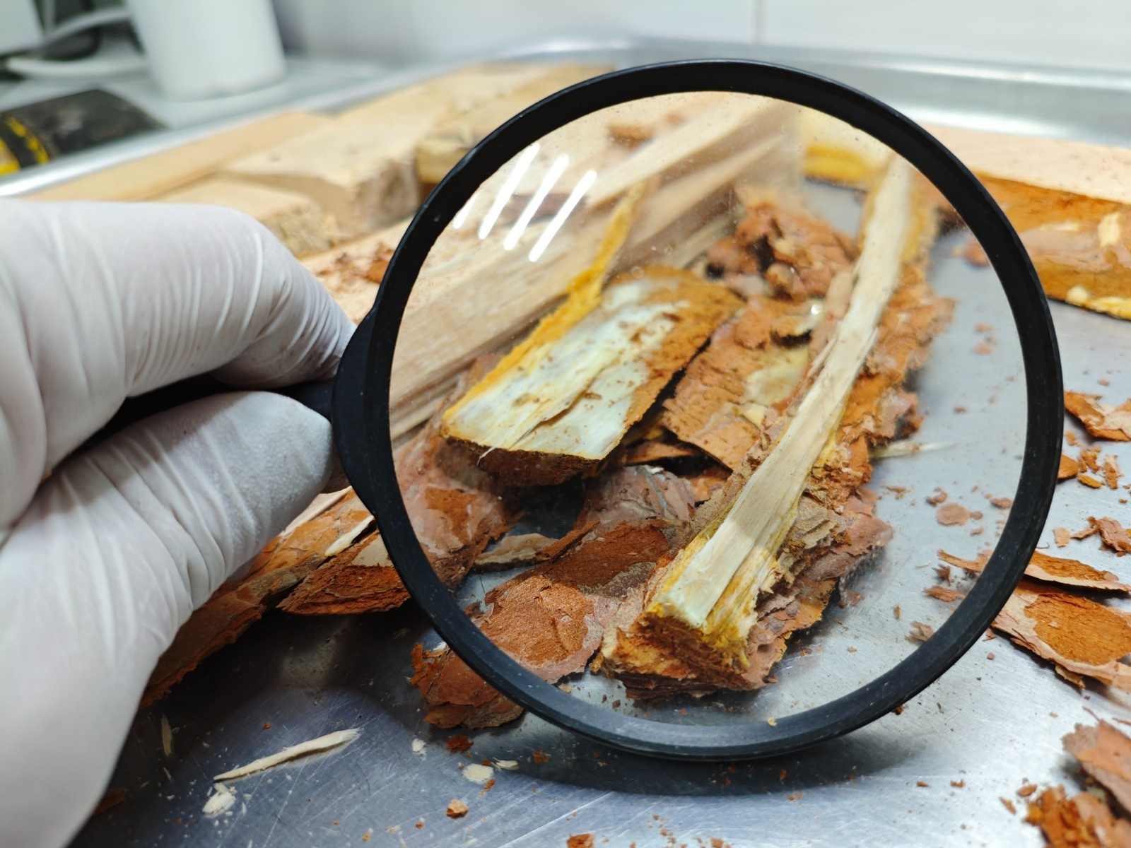 Башкирия экспортировала 10 тысяч кубометров пиломатериалов