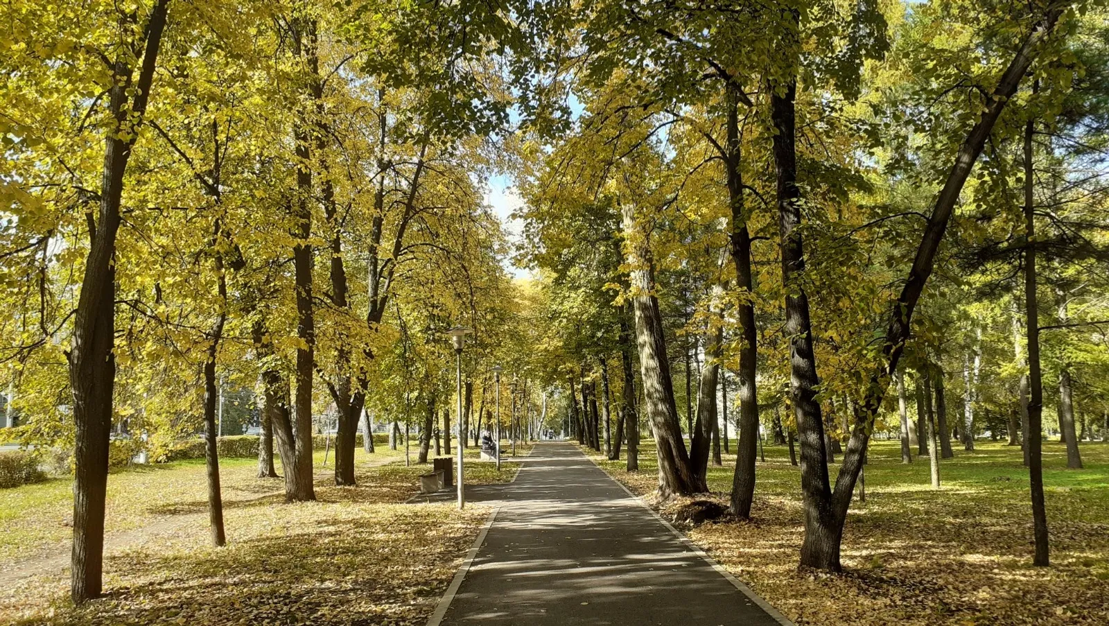 Вернется ли в Башкирию бабье лето?