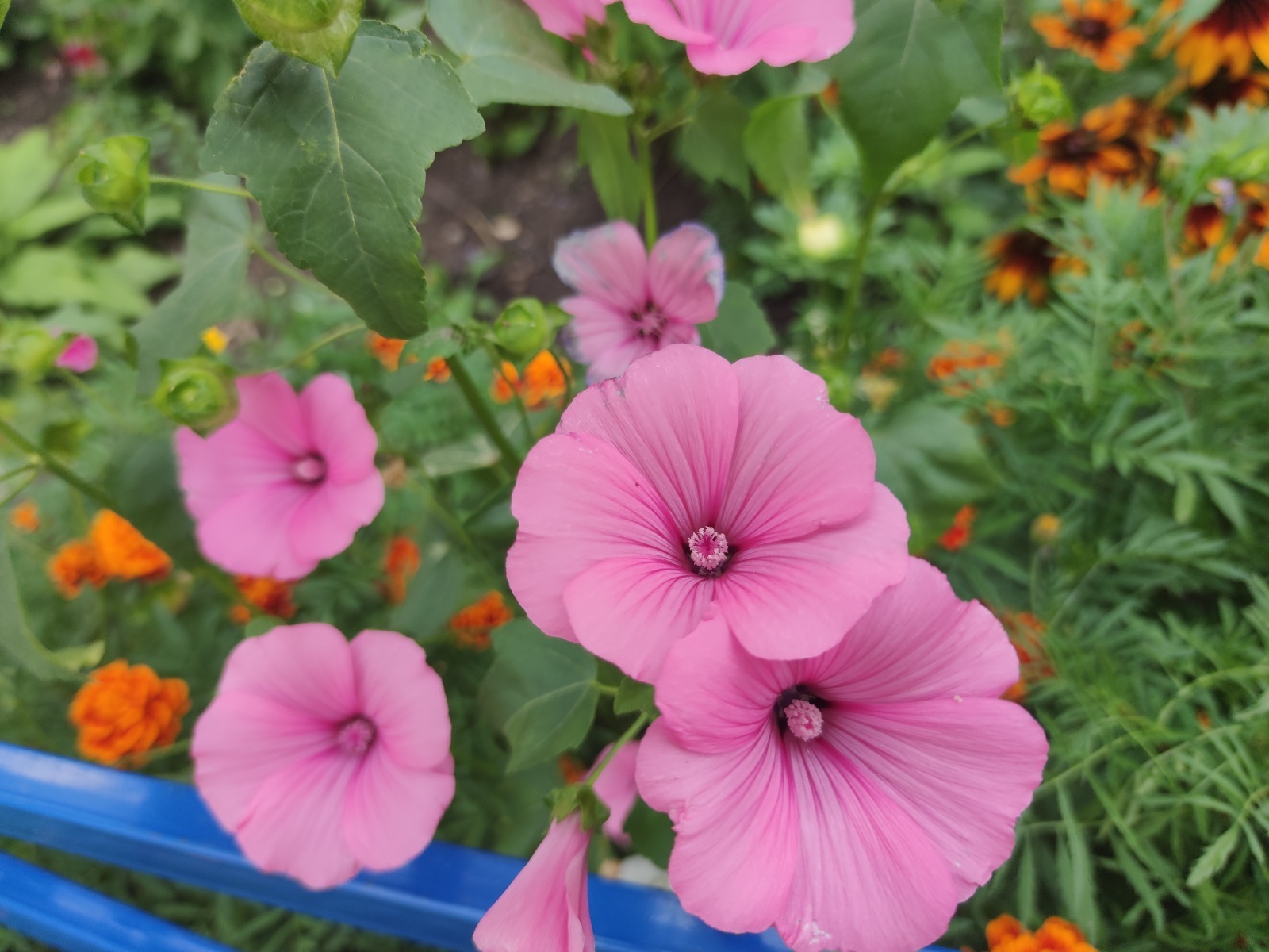 В Башкирии погода приготовила очередной сюрприз