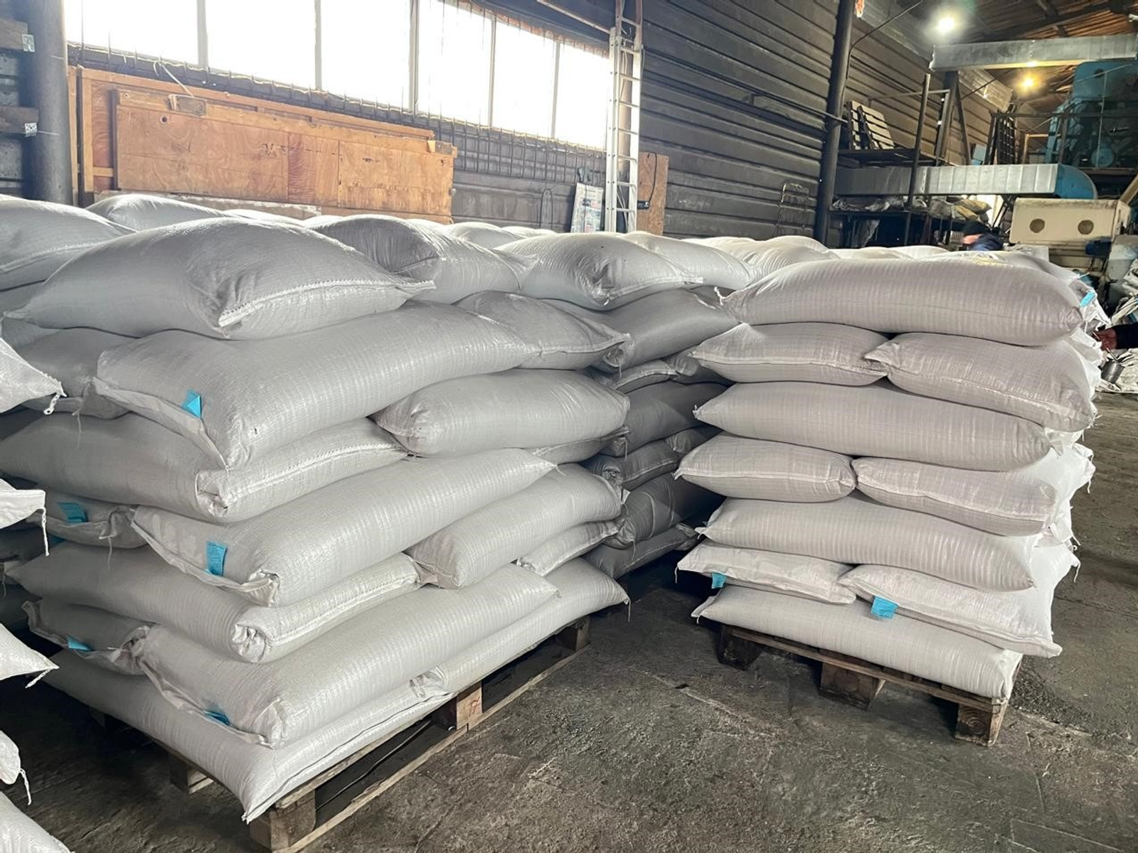 Башкирия вдвое увеличила экспорт семян