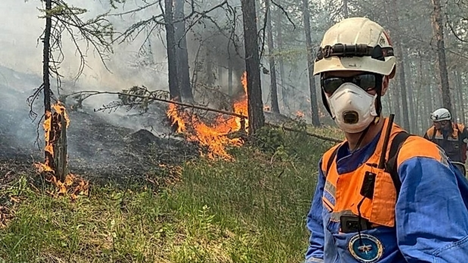 В Башкирии принимают дополнительные меры пожарной безопасности в лесах