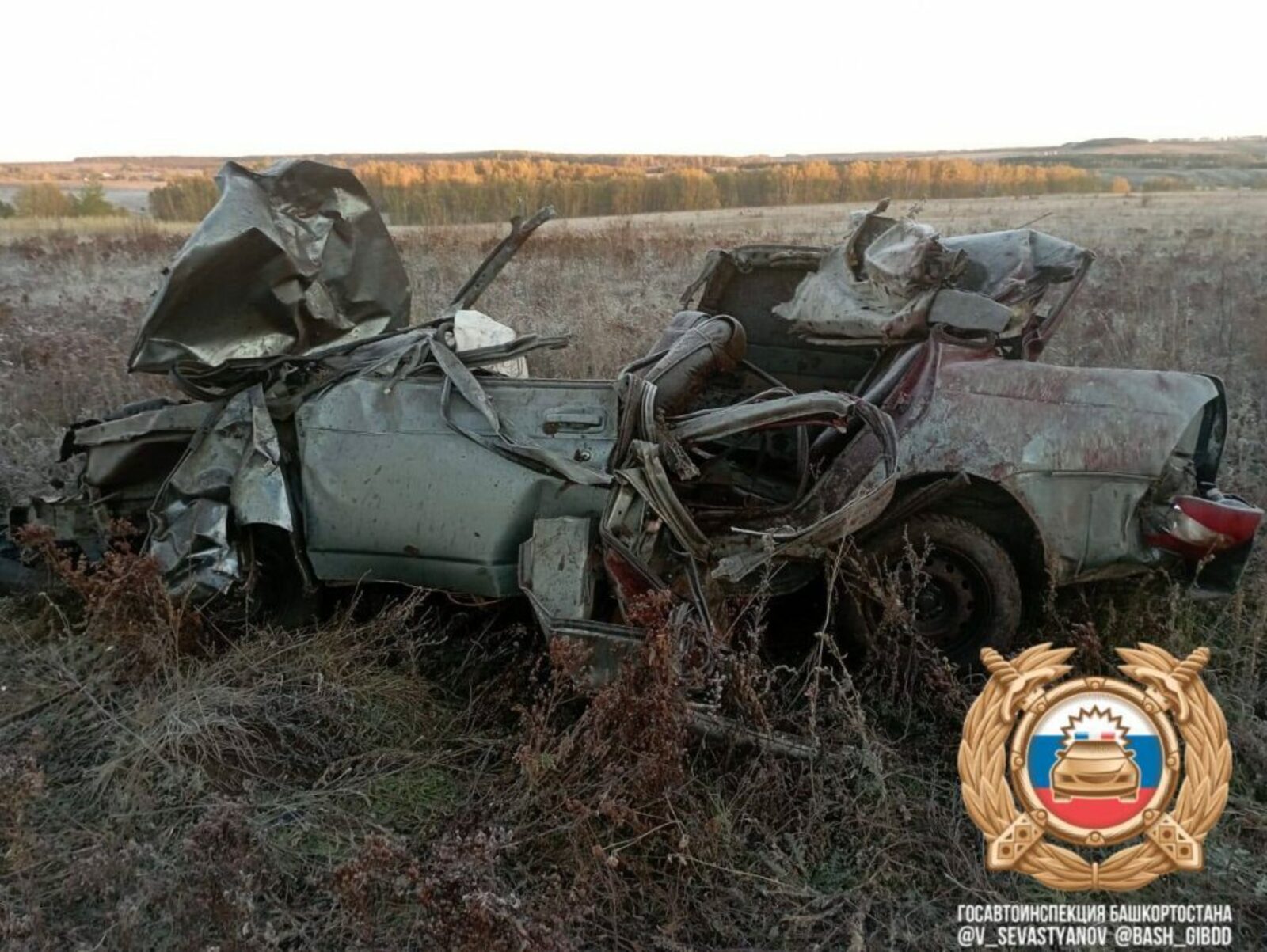 В страшном ДТП из-за лошади в Башкирии погибли водитель без прав и подростки