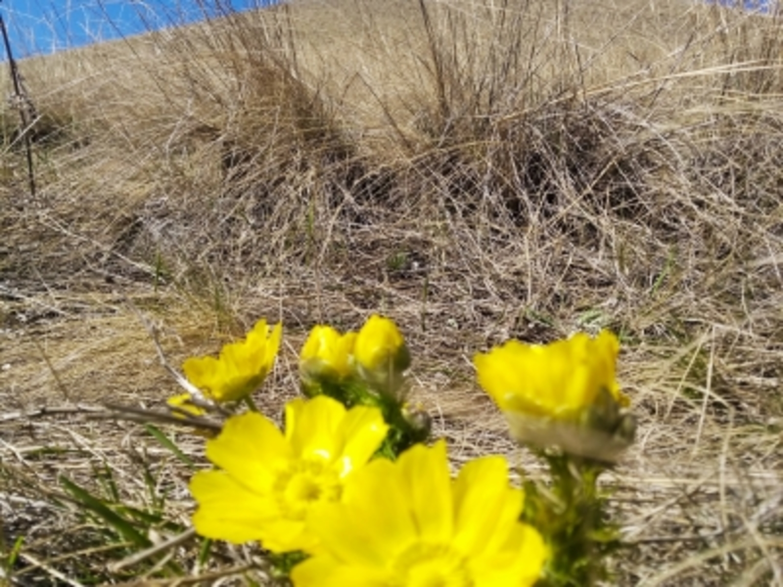 В Башкирии потеплеет выше +12 градусов