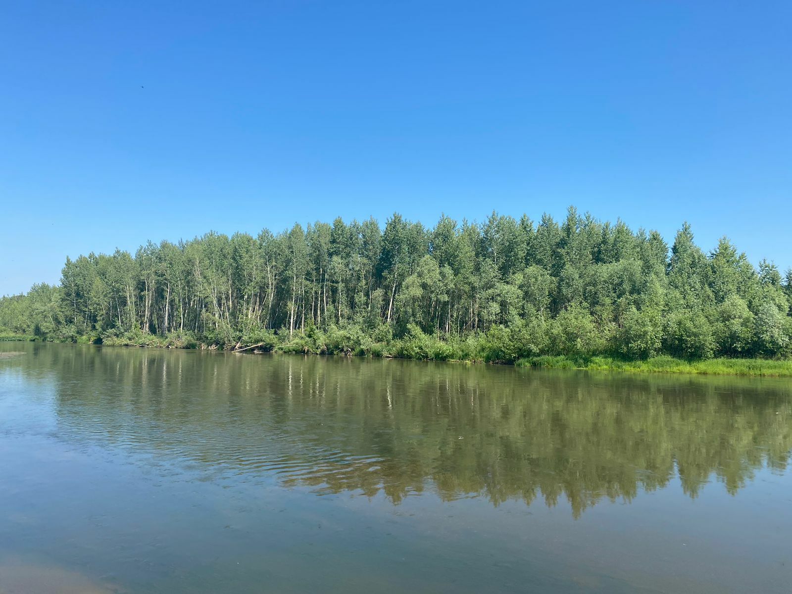 Безопасна ли вода из уличных водоматов — Роспотребнадзор по Башкирии