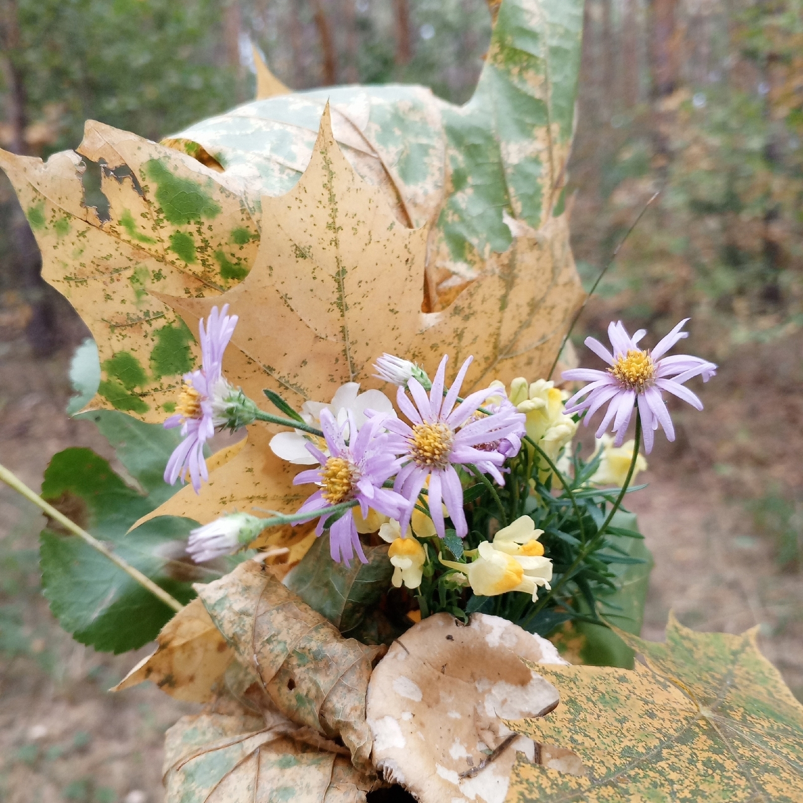 В Башкирии удивили неожиданным прогнозом на вторую половину осени