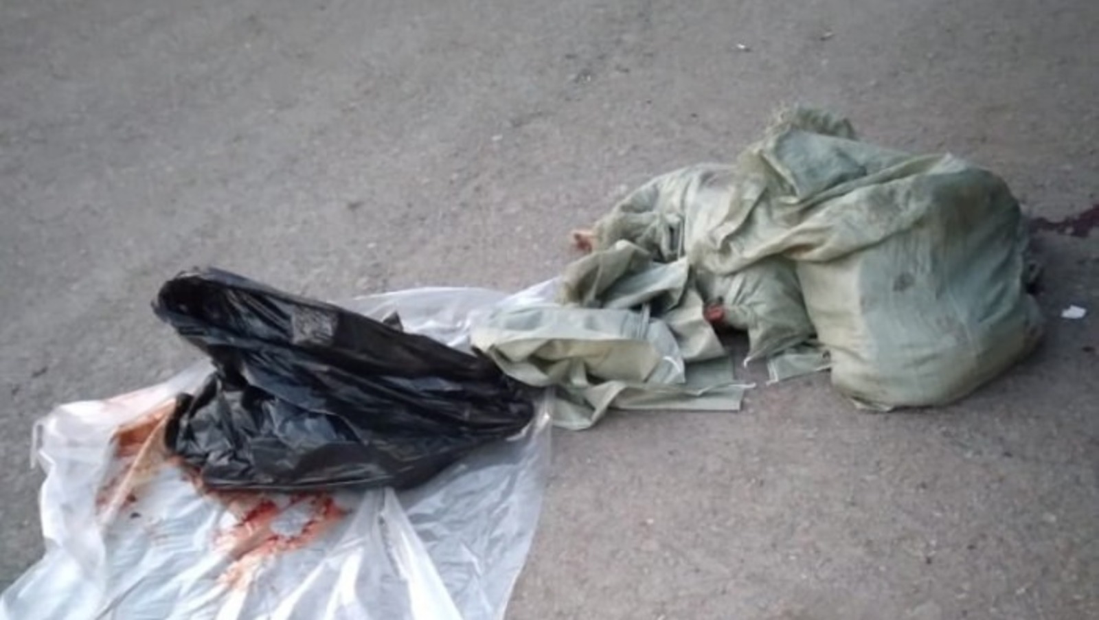 В Башкирии задержаны браконьеры с разделанными тушами косули