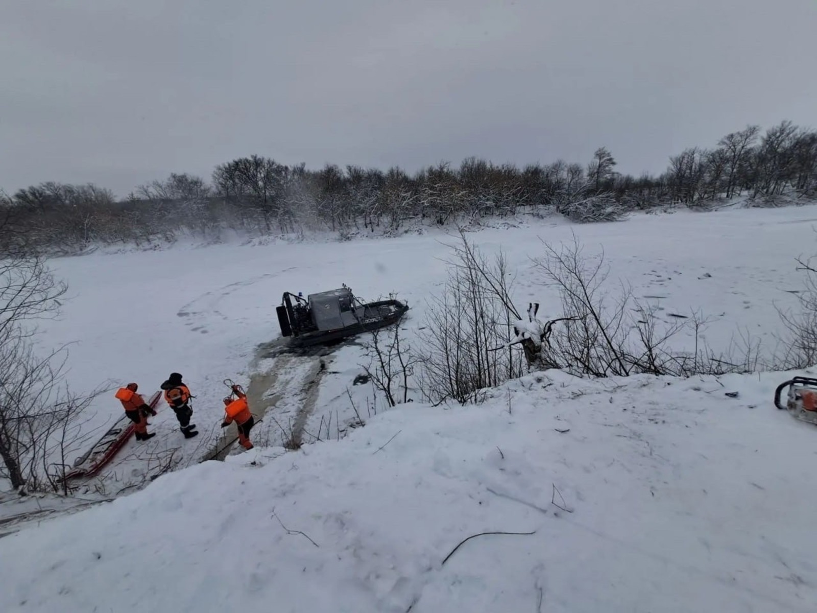 Власти доложили о продолжении извлечения стада баранов из озера в Башкирии