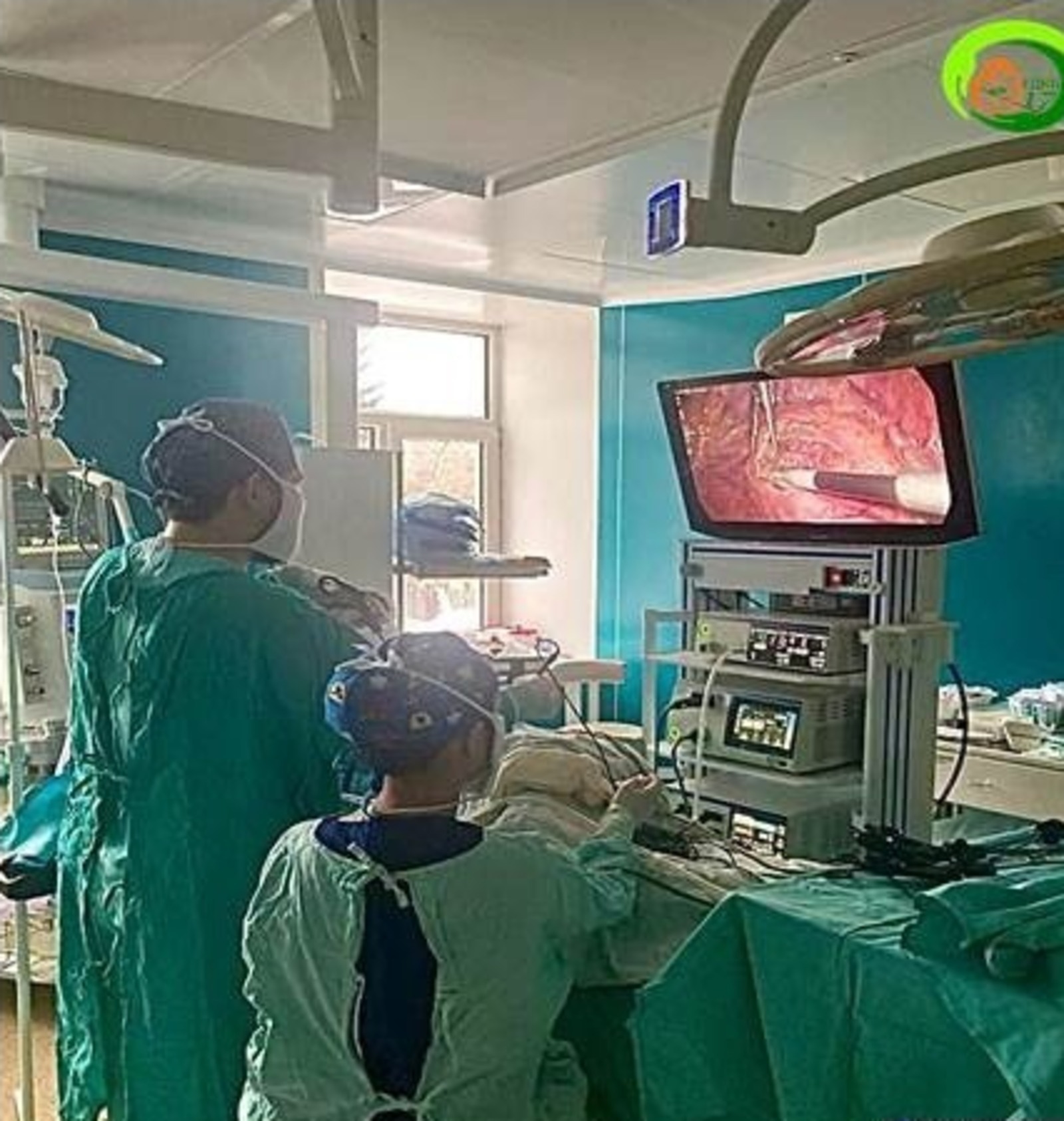 Уфимские врачи провели операцию девочке с одной почкой