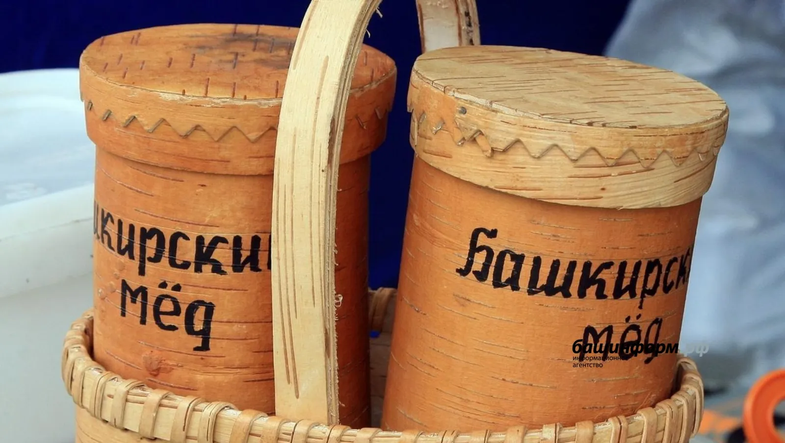 Глава Башкирии рассказал про поддержку пчеловодства в регионе