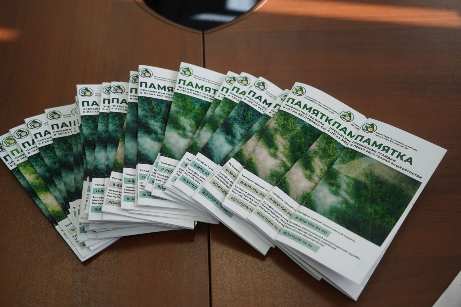 Охотникам Башкирии напомнили о предельной бдительности в лесах