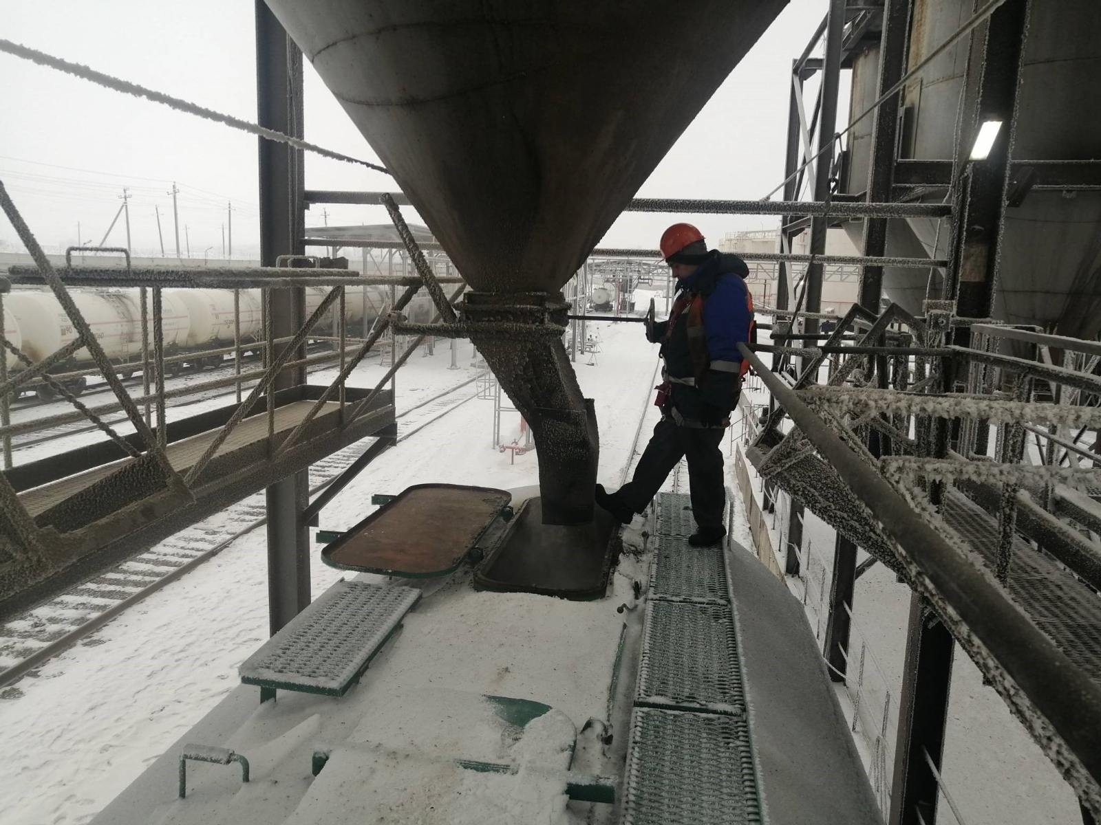 Башкирия экспортировала 55,5 тысячи тонн животных кормов