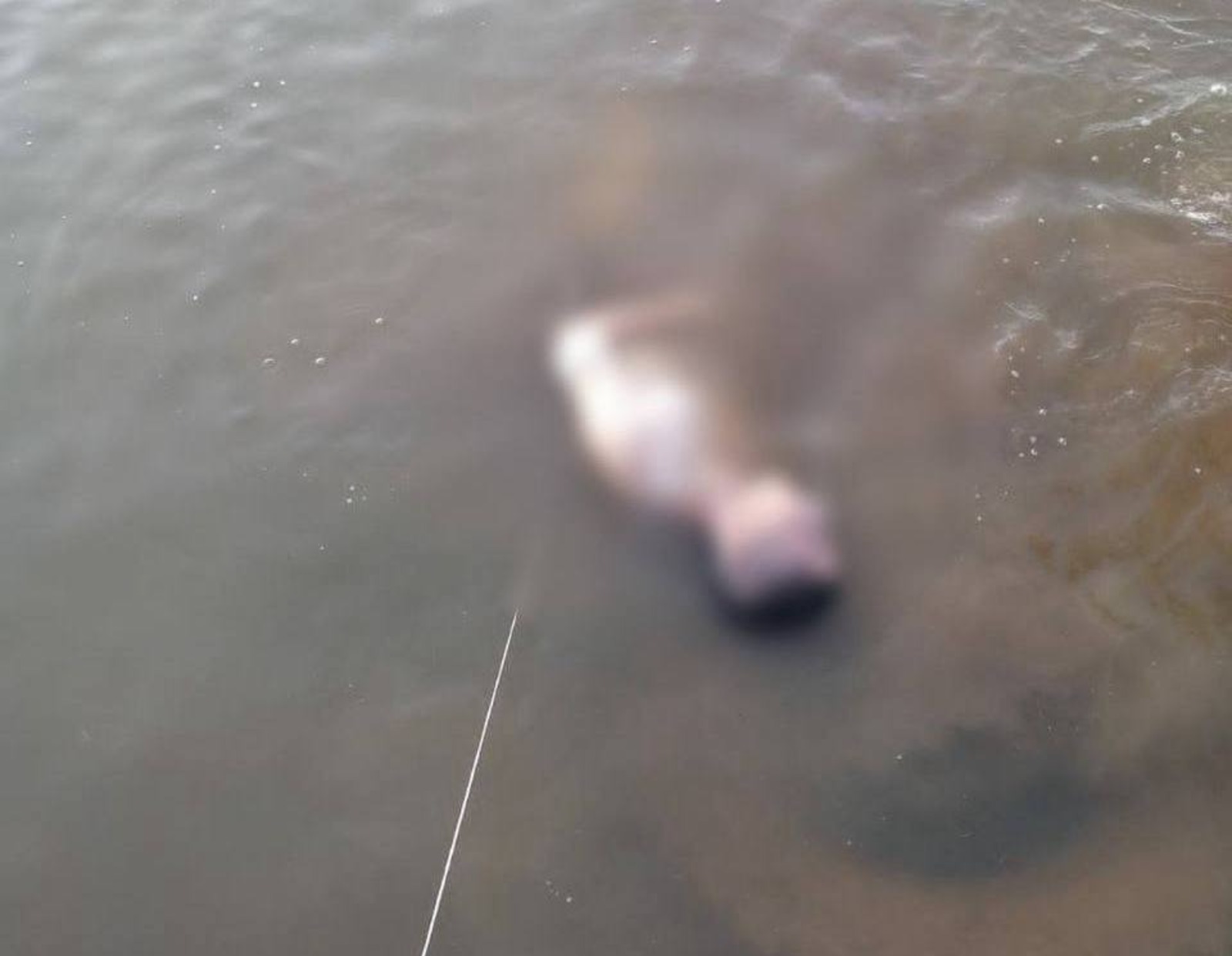 В Башкирии за выходные утонули семь человек