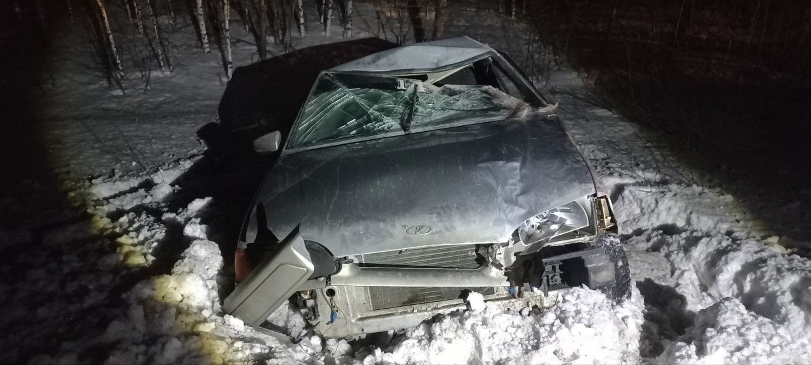 В Башкирии водитель лекгового авто насмерть сбил лося