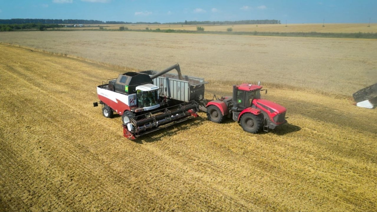 В Башкирии увеличились поставки зерна в регионы России