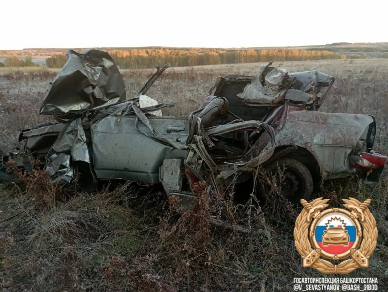 В смертельном ДТП с лошадью погибли вахтовик, школьница и студент