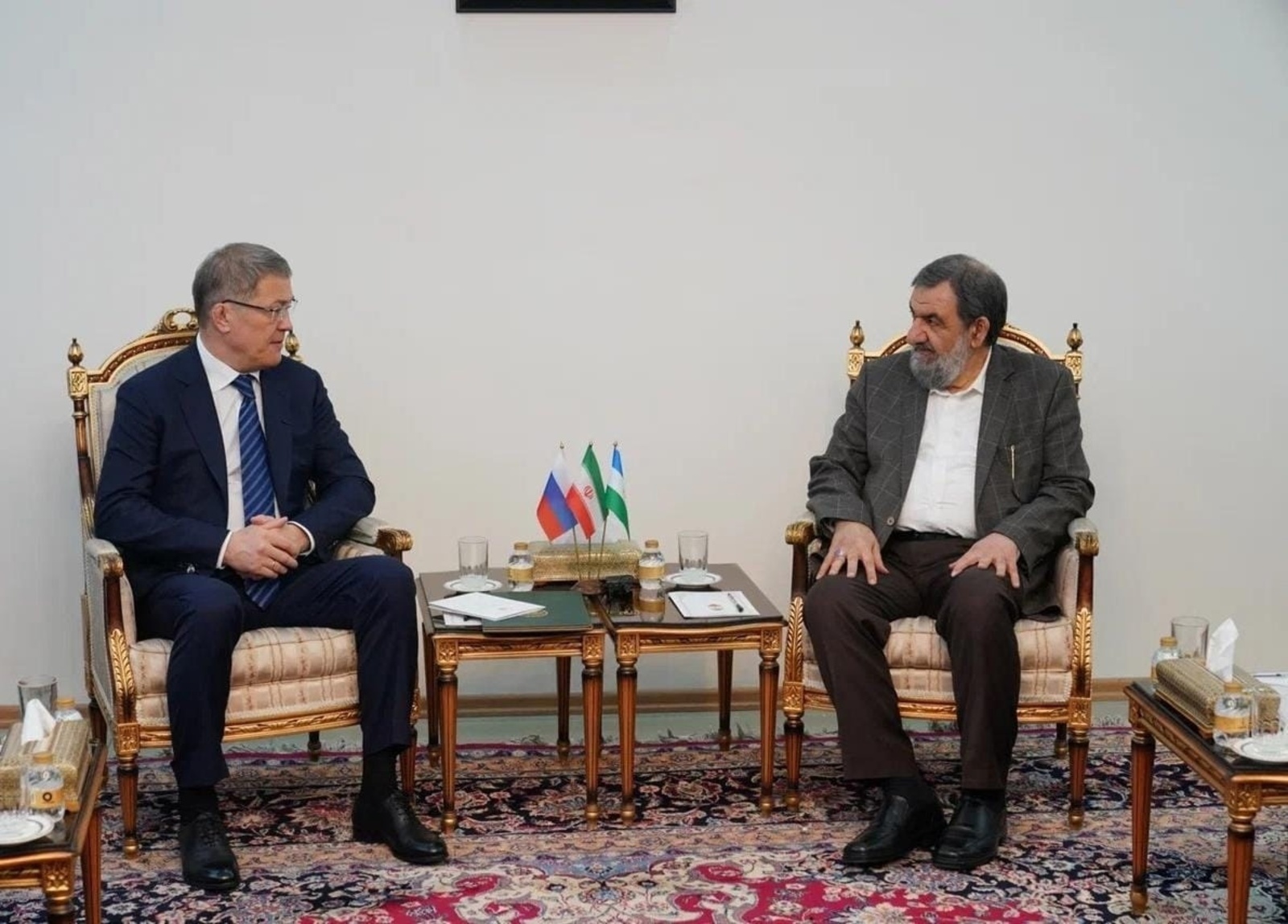 Глава Башкирии встретился с Вице-президентом Ирана по экономическим вопросам