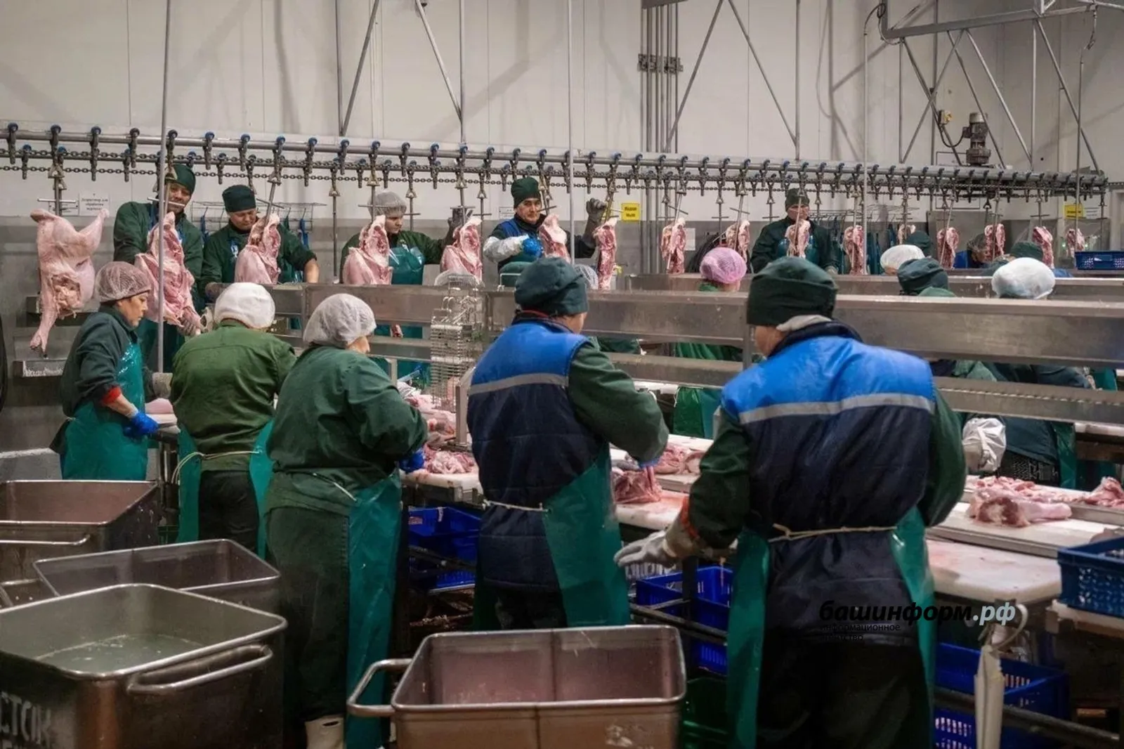 Башкирия накормит жителей Гвинеи