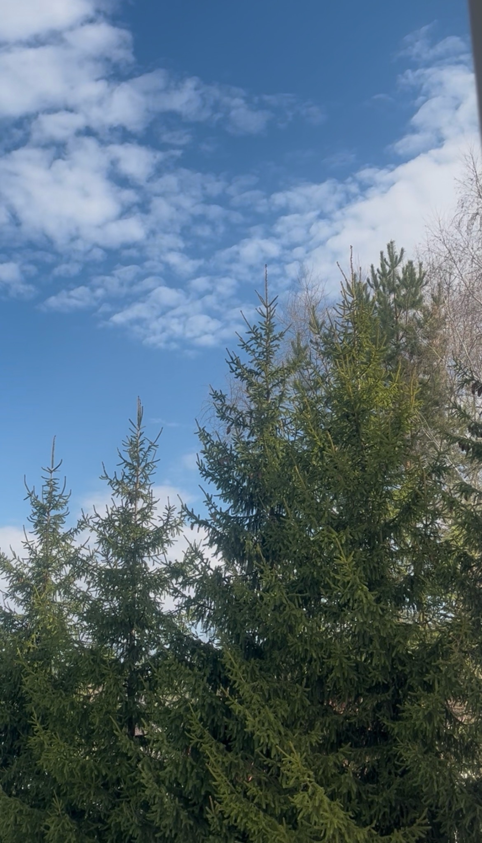 В Башкирии синоптики удивили прогнозом погоды на май и предстоящее лето